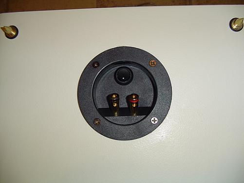 Binding Post and Speaker Spikes Binding Post and Speaker Spikes