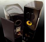 DIY HiVi Research Swans M1 Speakers