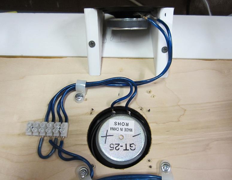 Rear View Showing Goldwood GT-25 Tweeters